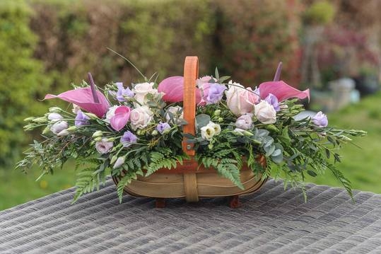 Anthurium Basket