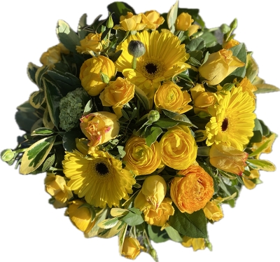 Yellow Ranunculus
