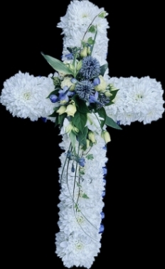 Blue and White Cross