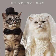 Cute Cat Wedding Card