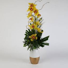 Cymbidium orchid design