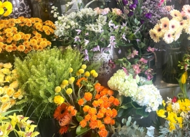 Vibrant Florist Choice