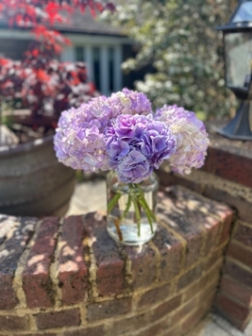 Purple hydrangeas 5 stems in vase