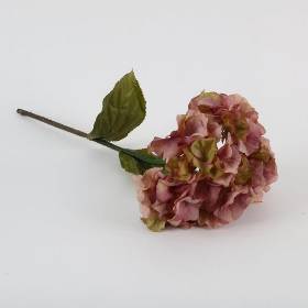 Single Stem Hydrangea