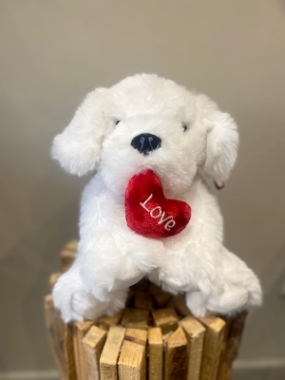 Valentines Teddy Dog