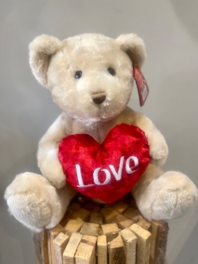Valentines Teddy Love