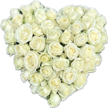 White Rose Heart